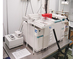 Measuring instrument for gas chromatography