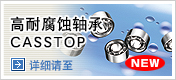 高耐腐蚀轴承 CASSTOP